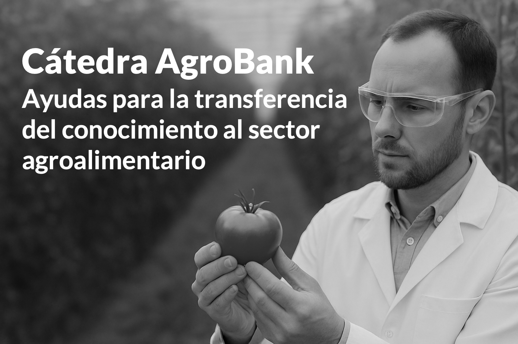 Imagen de la convocatoria de Cátedra AgroBank