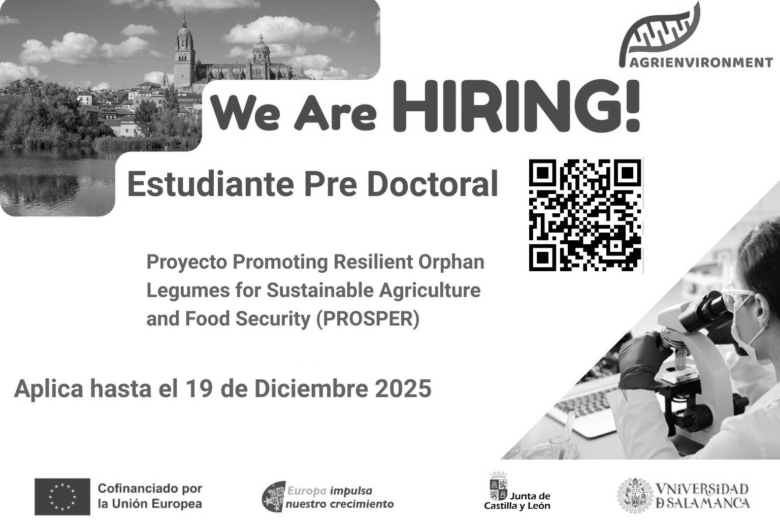 Imagen para contratación de PROSPER