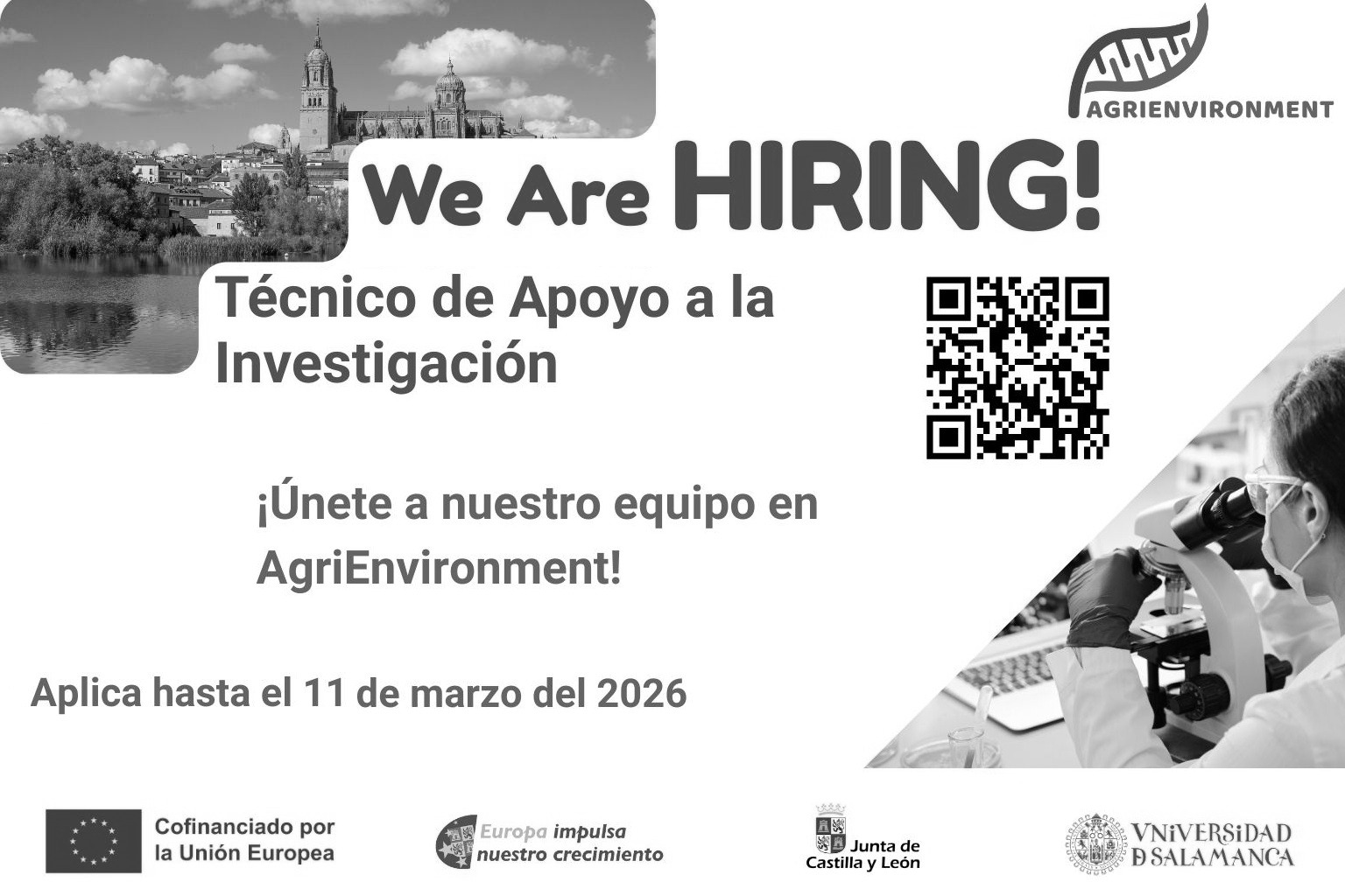 Imagen de contratación de técnico de apoyo a la investigación